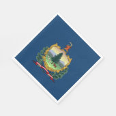 Vermont Staatsvlag Servet (Hoek)