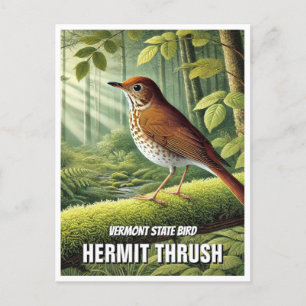 Vermont State Bird Hermit Thrush Briefkaart