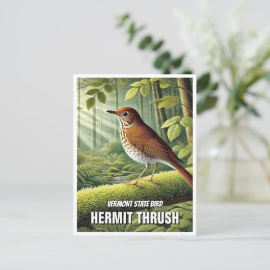 Vermont State Bird Hermit Thrush Briefkaart (Staand voorkant)