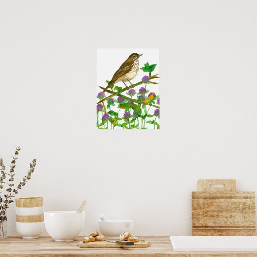 Vermont State Bird Hermit Thrush Clover Poster (Keuken)