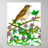 Vermont State Bird Hermit Thrush Clover Poster (Voorkant)