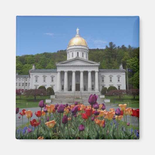 Vermont State House - Montpelier Magneet (Voorkant)