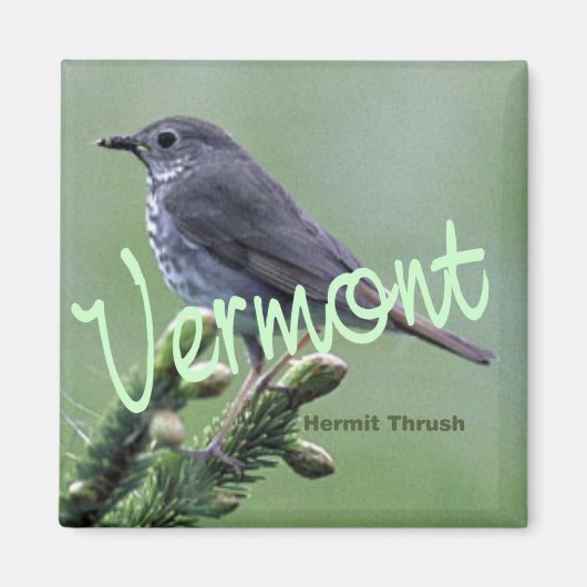 Vermont State Vogelkluizenaar Thrush Koelkast Magn Magneet (Voorkant)