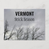 Vermont Stick Seizoen New England Fotografisch Briefkaart (Voorkant)