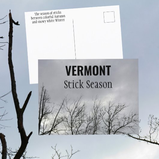 Vermont Stick Seizoen New England Fotografisch Briefkaart