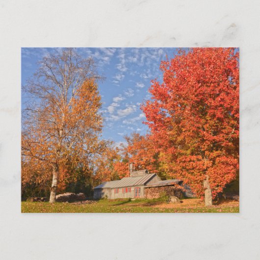 Vermont Sugar House Briefkaart (Voorkant)