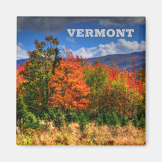Vermont Travel Magnet die de kleurenveranderingen 