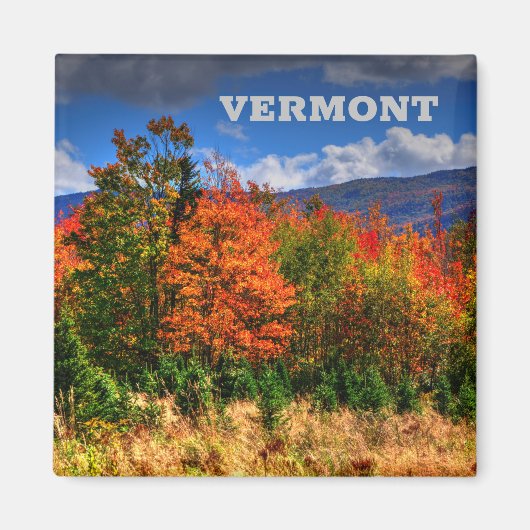Vermont Travel Magnet die de kleurenveranderingen  (Voorkant)