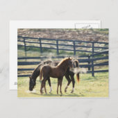 Vermont, Verenigde Staten Briefkaart (Voorkant / Achterkant)