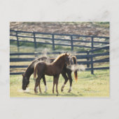 Vermont, Verenigde Staten Briefkaart (Voorkant)