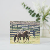 Vermont, Verenigde Staten Briefkaart (Staand voorkant)