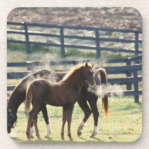 Vermont, Verenigde Staten Drankjes Onderzetter