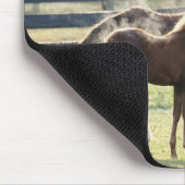 Vermont, Verenigde Staten Muismat (Hoek)