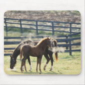 Vermont, Verenigde Staten Muismat (Voorkant)