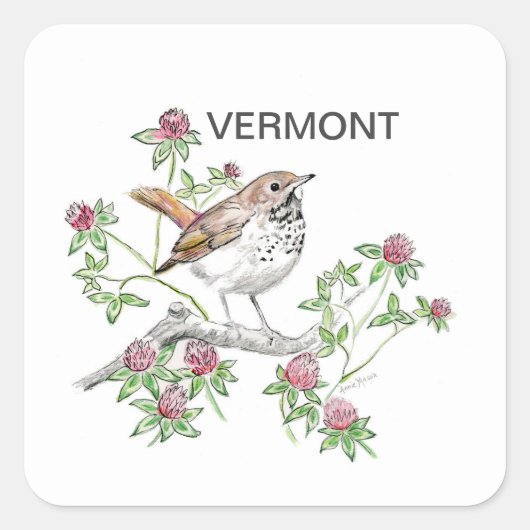 Vermont-vogelbloem Vierkante Sticker (Voorkant)