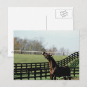 Vermont, VS 2 Briefkaart (Voorkant / Achterkant)