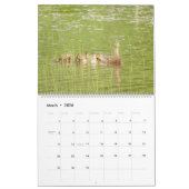 Vermont Wildlife Kalender (Mar 2026)