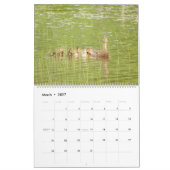 Vermont Wildlife Kalender (Mar 2027)