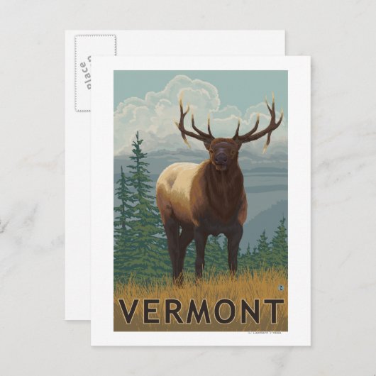 VermontElk Scene Briefkaart (Voorkant / Achterkant)