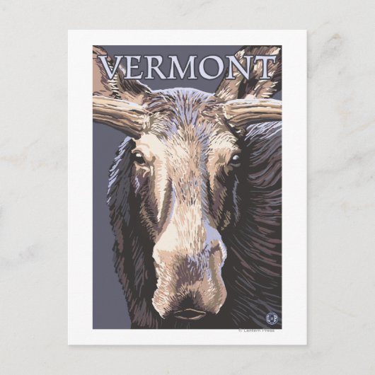 VermontMoose Up Close Briefkaart (Voorkant)