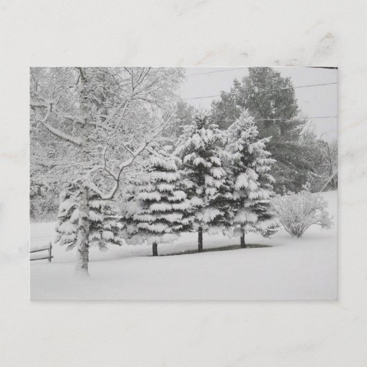 Vermont's Sneeuwwinter in B&W Briefkaart (Voorkant)