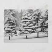 Vermont's Winter Wonderland in B&W Briefkaart (Voorkant)
