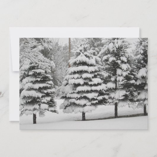 Vermont's Winter Wonderland in B&W Flat Kaart (Voorkant)