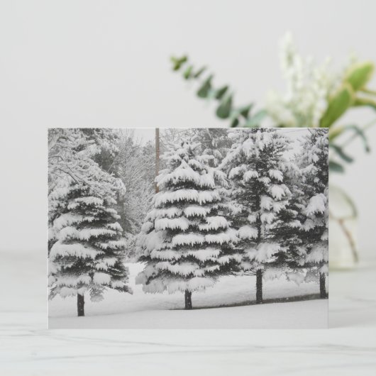 Vermont's Winter Wonderland in B&W Flat Kaart (Staand voorkant)