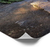 Vernal Herfst Hiker and Rainbow - Yosemite Poster (Hoek)