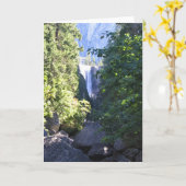 Vernal Herfsten, Yosemite National Park, CA Kaart (Gele Bloem)