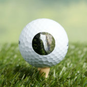 Vernale Herfst II in het nationaal park Yosemite Golfballen (Insitu Shirt)