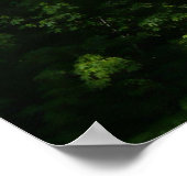 Vernale Herfst II in het nationaal park Yosemite Poster (Hoek)