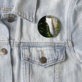 Vernale Herfst II in het nationaal park Yosemite Ronde Button 5,7 Cm (In situ)