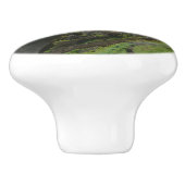 Vernale Herfsten I in het Nationaal Park Yosemite Keramische Knop (Zijkant)