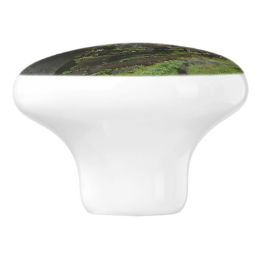 Vernale Herfsten I in het Nationaal Park Yosemite Keramische Knop (Zijkant)