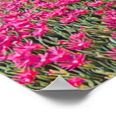 VERNAZZA - Cinque Terre - panorama - Ligurië - Poster (Hoek)