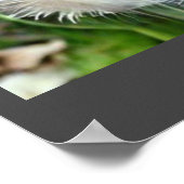 Vernederbare andelion klok A.I. verbeterde foto. Poster (Hoek)