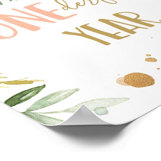 Vernederend jaar Miss Onederful Girl Birthday Sign Poster (Hoek)