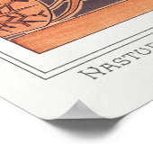 Verneuil, Capucine, Plant,  stijl Poster (Hoek)