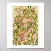 Verneuil Rouget Waarde Poster Papier (Halfglans) (Voorkant)