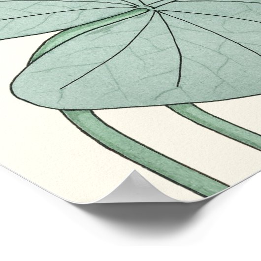 Verneuil Water lily Decorative Art Nouveau bloemen Poster (Hoek)