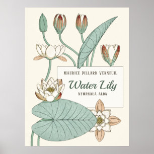 Verneuil Water lily Decorative Art Nouveau bloemen Poster