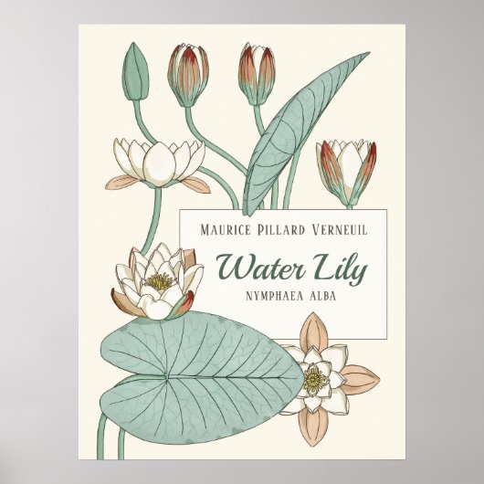 Verneuil Water lily Decorative Art Nouveau bloemen Poster (Voorkant)