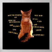 Vernietig! Somali Cat Poster (Voorkant)