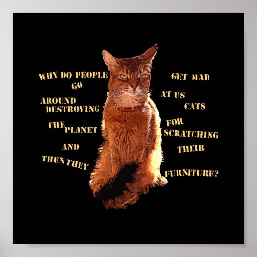 Vernietig! Somali Cat Poster (Voorkant)