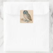 VERNIEUWING VAN DIERENTEKENINGEN/HET OWL-Monogram Vierkante Sticker (Tas)