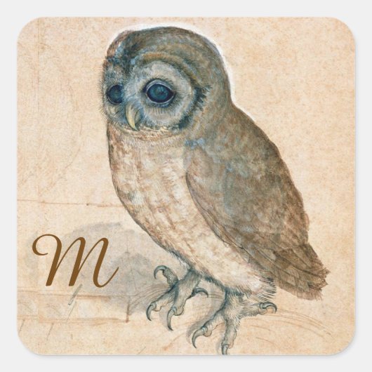 VERNIEUWING VAN DIERENTEKENINGEN/HET OWL-Monogram Vierkante Sticker (Voorkant)