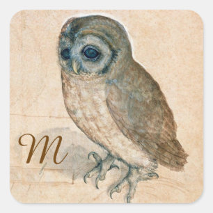 VERNIEUWING VAN DIERENTEKENINGEN/HET OWL-Monogram Vierkante Sticker
