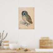 VERNIEUWING VAN DIERENTEKENINGEN / HET OWL POSTER (Keuken)