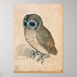 VERNIEUWING VAN DIERENTEKENINGEN / HET OWL POSTER